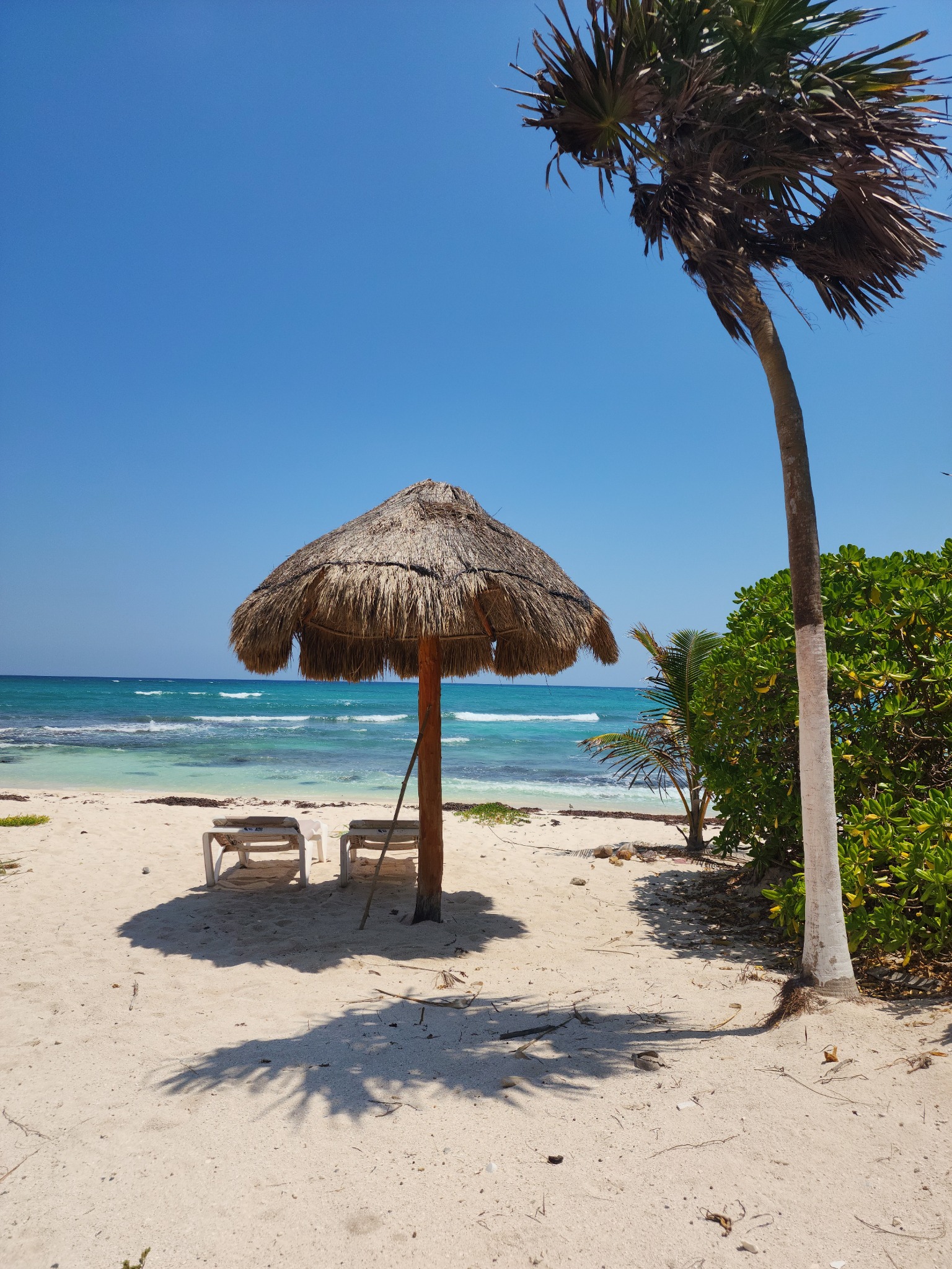 Costa Maya
